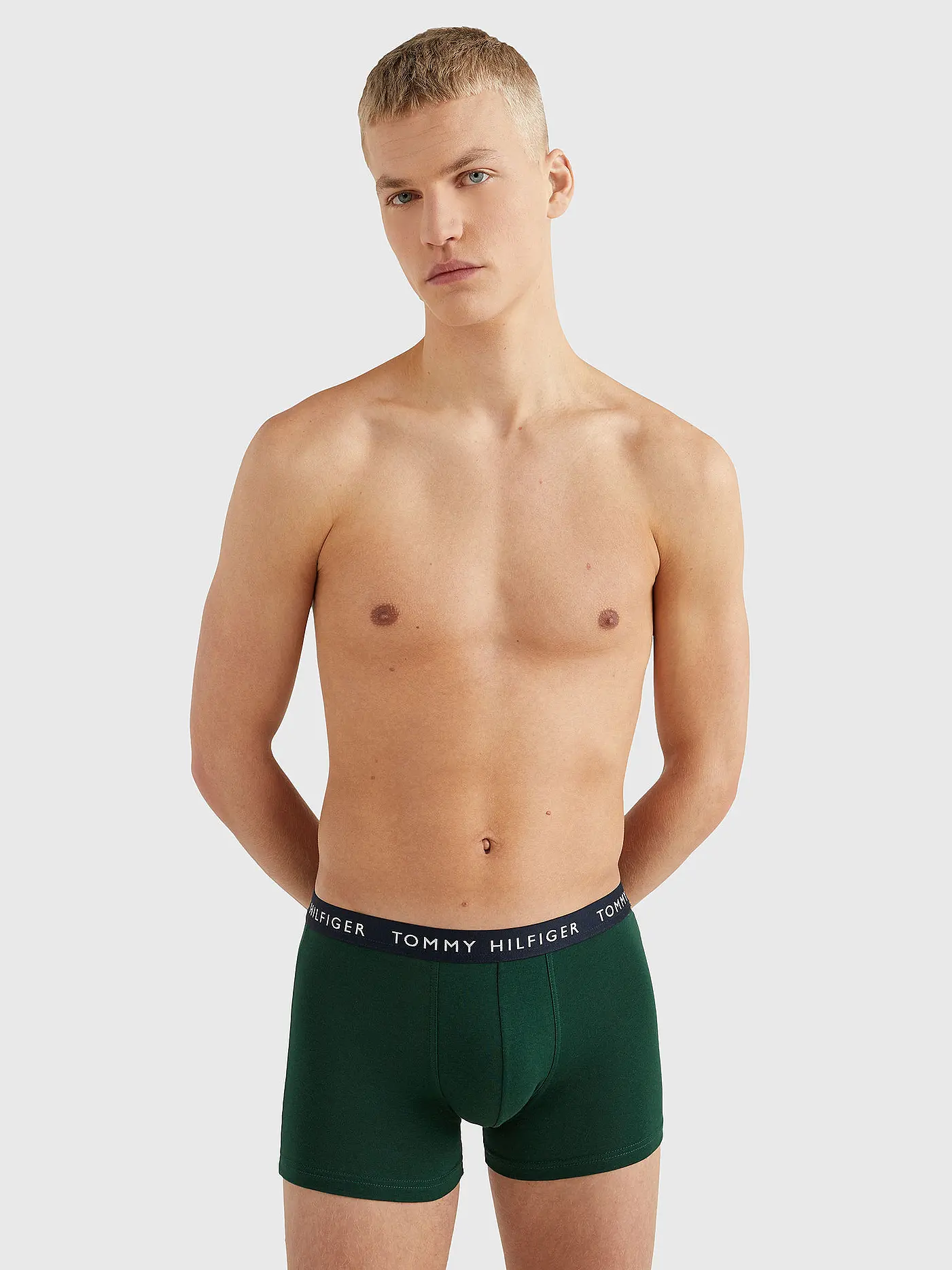 TOMMY HILFIGER | Pant 3er Pkg purple | 